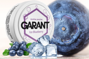 Garant Ice Blueberry Nicotine Pouches - Refreshing & Invigorating Blueberry Flavor with a Cool Twist